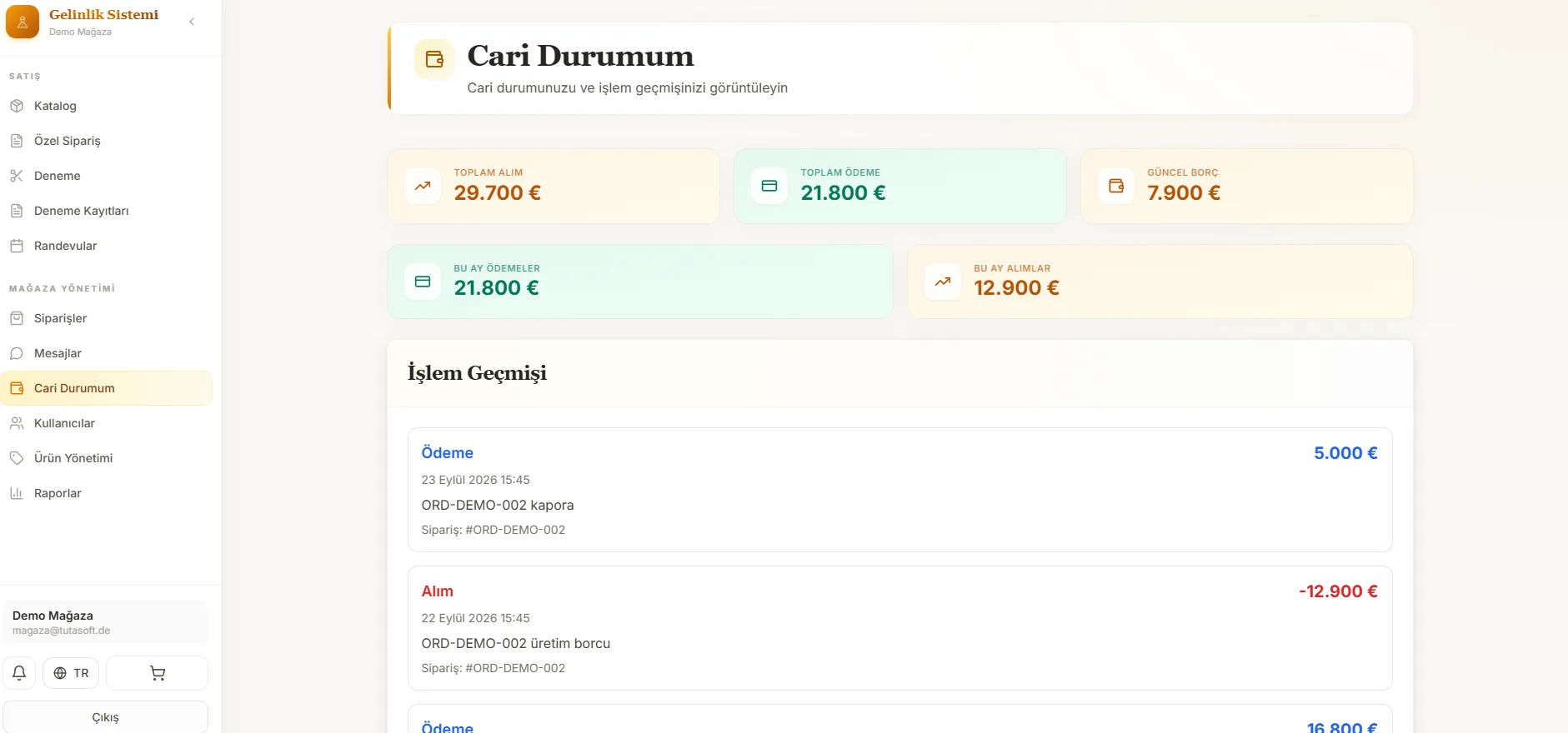 Mağaza paneli: cari durum
